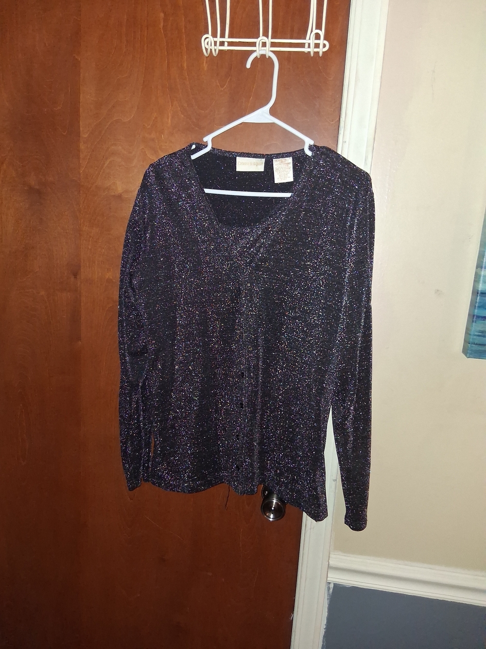 Women's Shimmery V-Neck Long Sleeve Blouse - Black Metallic